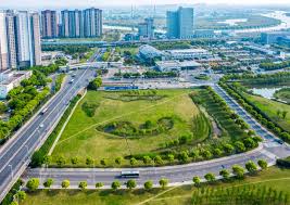武安绿化批发市场